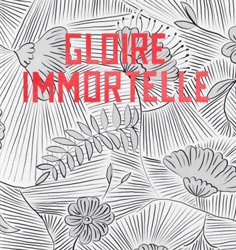 <B>Gloire Immortelle</B> <BR>Rachidi Bissiriou