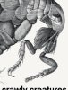 <B>Crawly Creatures: Depiction and Appreciation of Insects and Other Critters in Art and Science</B>