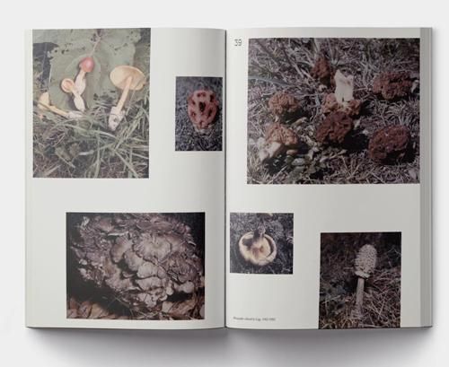 A MYCOLOGICAL FORAY / John Cage - 本 屋 青 旗 Ao-Hata Bookstore