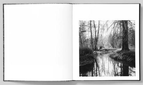 Mimi Plumb: Megalith-Still - BOOK OF DAYS ONLINE SHOP