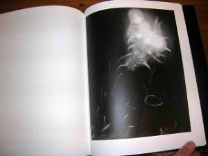 杉本博司: 光の自然 (Hiroshi Sugimoto: Nature of Light) - BOOK OF 