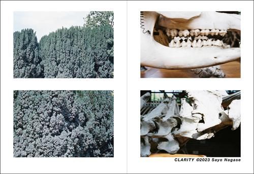 永瀬沙世: CLARITY - BOOK OF DAYS ONLINE SHOP