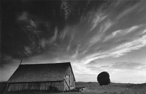 Solitude Standing / 小島一郎 Ichiro Kojima - books used and