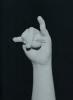 <B>Fingers</B> <BR>Ilse Oosterkamp