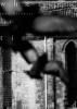 <B>衼åѡŻߤ | Where Time Has Stopped</B> <BR>ɸ | Ikko Narahara