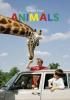 <B>Animals</B> <BR>Martin Parr