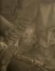 <B>La ronde des hirondelles</B> <BR>Florence Cuschieri
