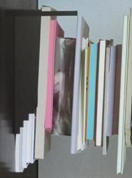 <B>As Far As You Can See</B> <BR>Erik Kessels