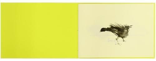 松岡正剛: Birds - BOOK OF DAYS ONLINE SHOP