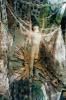 <B>Synthesis (signed)</B> <BR>Mari Katayama | һ