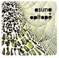 asuna + opitope: sunroom