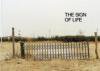 清野賀子: THE SIGN OF LIFE (Yoshiko Seino: The Sign of Life)