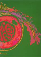 <B>High Art<BR>A History of the Psychedelic Poster</B>