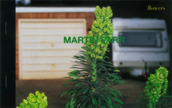 <B>Flowers</B> <BR>Martin Parr