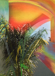Sam Falls: Paint Paper Palms