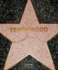 Terry Richardson: Terrywood