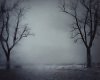Todd Hido: Excerpts from Silver Meadows  (Deluxe Edition)