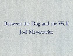 Joel Meyerowitz: Between the Dog and the Wolf