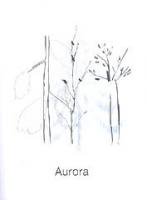 Aurora: HIMAA/ Τꤿ/ / Ť