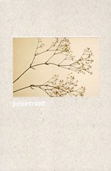 penetrant / cream (Cover: 淼 | Kei Ohnaka)