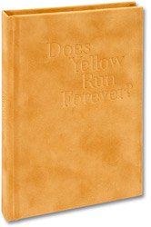 Paul Graham: Does Yellow Run Forever?