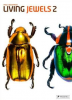 Poul Beckmann: Living Jewels 2: The Magical Design of Beetles