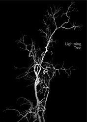 Taiyo Onorato and Nico Krebs: Lightning Tree