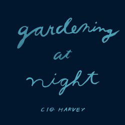 Cig Harvey: Gardening at Night