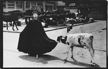 深瀬昌久 写真集 屠 屠 / 深瀬昌久(Masahisa Fukase) | bookobscura｜写真集専門書店