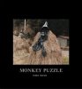 <B>Monkey Puzzle</B><BR>Yoko Ikeda | 池田 葉子