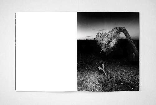 Chris Shaw: Horizon Icons - BOOK OF DAYS ONLINE SHOP