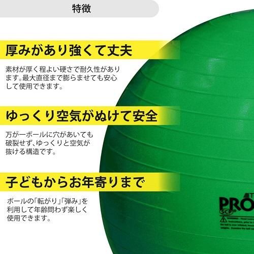 柔らかい SDS-65エクササイズボール/グリーン/直径65cm/セラバンド バランストレーナー