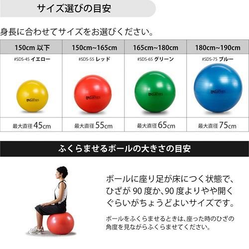 SDS-65エクササイズボール/グリーン/直径65cm/セラバンド