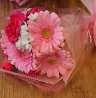 小さいのが可愛い ガーベラのミニブーケ 広島県広島市中区宝町にある花屋 花とみどりの店 Oryza おりざ