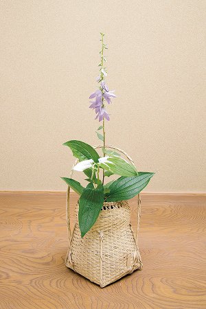 茶道具 花入・花籠 方円籠 即中斎好写 上塗り竹入子 付 紙箱 新品 - 茶道具 販売の佐藤大観堂 オンラインショップ