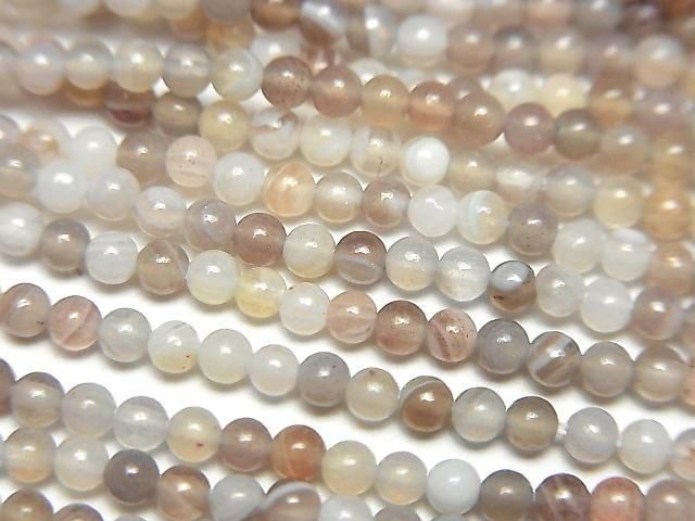 ưۥܥĥʥ ˾饦2mm 1Ϣ(37cm)β