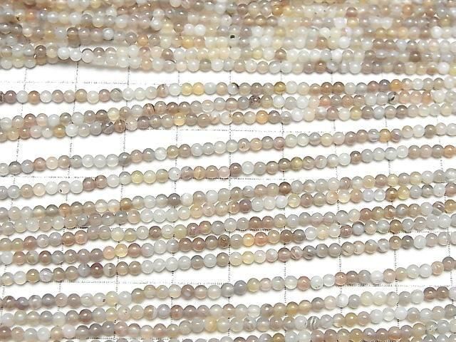 ưۥܥĥʥ ˾饦2mm 1Ϣ(37cm) ͥ3