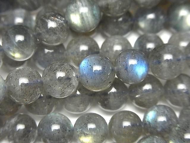 ưۥ֥ɥ饤AA++ 饦8mm ȾϢ/1Ϣ(36cm)