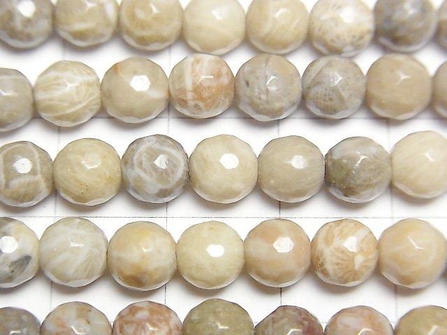 【動画】フォシルコーラル(化石珊瑚) 128面ラウンドカット6mm 半連/1連(約37cm) サムネイル2