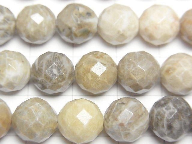 【動画】フォシルコーラル(化石珊瑚) 64面ラウンドカット10mm 半連/1連(約38cm) サムネイル2