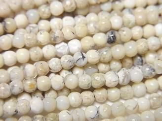 ưۥեꥫ󥪥ѡ 饦3mm 1Ϣ(38cm)