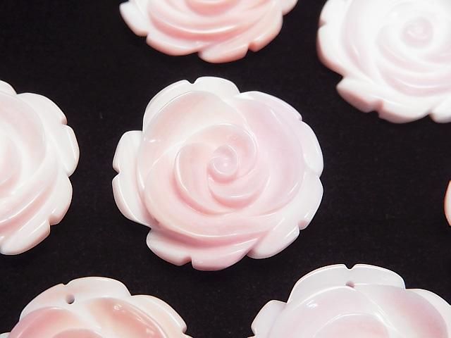 【動画】クィーンコンクシェルAAA- 薔薇 25mm 1枚の画像