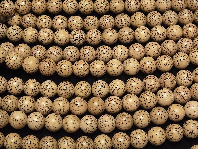 ưۥǥ()μΥӡ 饦(ߥ饦)8mm 1Ϣ(37cm)β-3