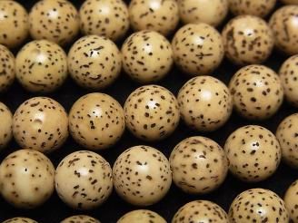 ưۥǥ()μΥӡ 饦(ߥ饦)8mm 1Ϣ(37cm)