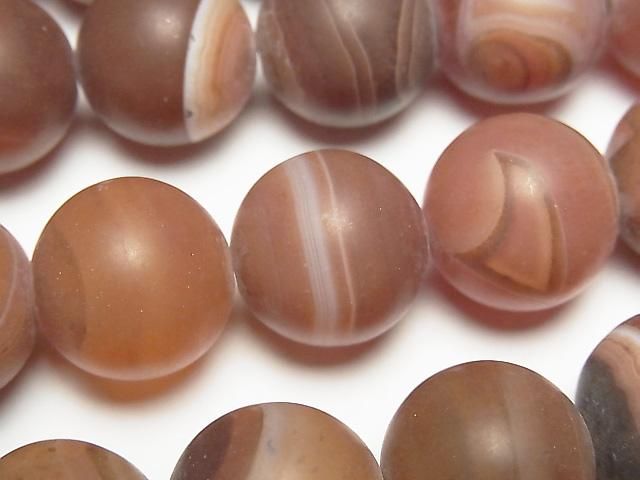 ưۥեȥ󥸥ȥ饤ץ 饦16mm ȾϢ/1Ϣ(34cm)