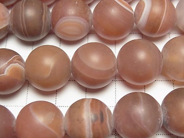 ��ư��ۥե����ȥ���󥸥��ȥ饤�ץ������� �饦���16mm ȾϢ/1Ϣ(��34cm)�β���-2