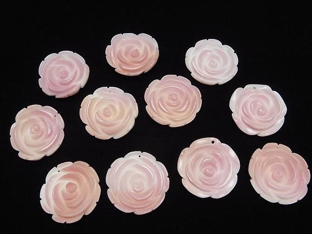 【動画】クィーンコンクシェルAAA 薔薇 35mm 1枚 サムネイル4