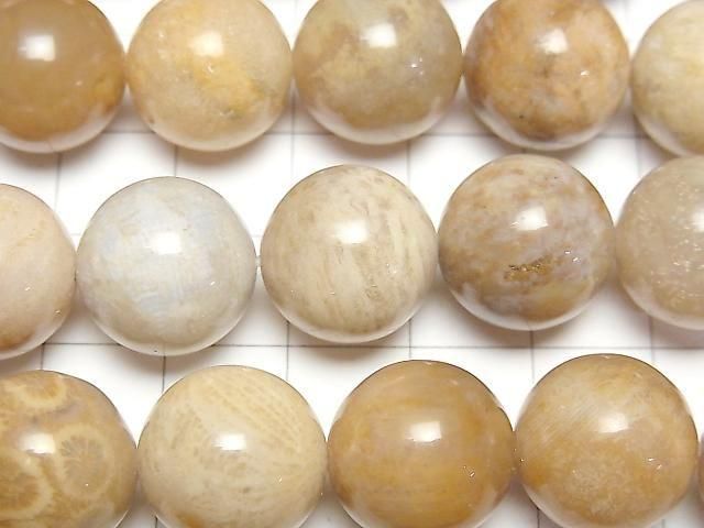 【動画】フォシルコーラル(化石珊瑚) ラウンド14mm 半連/1連(約36cm) サムネイル2