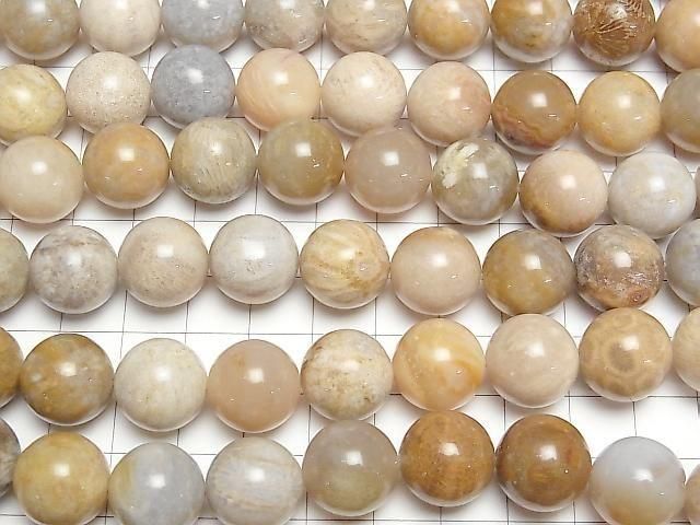 【動画】フォシルコーラル(化石珊瑚) ラウンド14mm 半連/1連(約36cm) サムネイル3