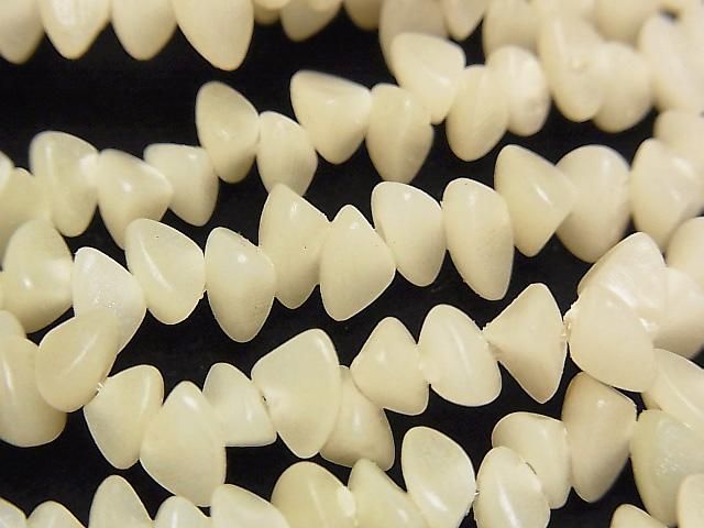 ѡĥ꡼ å(ߥ˥֥) 1Ϣ(38cm)β